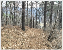  2024Ÿ��1452 �泲 õ�Ƚ� ������ ��õ�� ���׸� 328-2     ����(��1)���