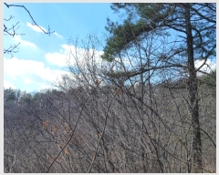  2024Ÿ��1452 �泲 õ�Ƚ� ������ ��õ�� ���׸� 328-2     ����(��1)���