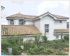  2024Ÿ��4659  �������