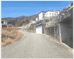  2024Ÿ��4659  �������