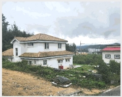  2024Ÿ��4659  �������