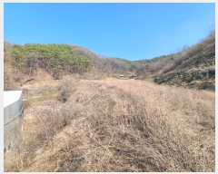  2024Ÿ102775 泲 õȽ  Ÿ ߻긮 282-3     (1)