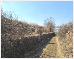  2024Ÿ102775 泲 õȽ  Ÿ ߻긮 282-3     (1)