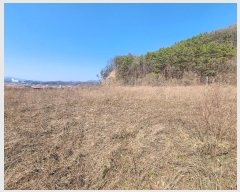  2024Ÿ102775 泲 õȽ  Ÿ ߻긮 282-3     (1)