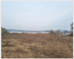  2024Ÿ102775 泲 õȽ  Ÿ ߻긮 282-3     (1)