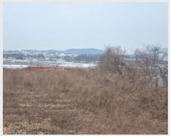  2024Ÿ102775 泲 õȽ  Ÿ ߻긮 282-3     (1)