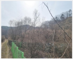  2024Ÿ102775 泲 õȽ  Ÿ ߻긮 282-3     (1)