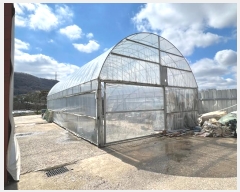  2024Ÿ��103242 �泲 �ƻ�� ������ ������ 262-2      ������