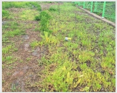  2024Ÿ��105392 �泲 �ƻ�� ���θ� â�븮 376-4      ����(��1)���