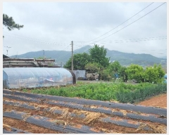  2024Ÿ��105392 �泲 �ƻ�� ���θ� â�븮 376-4      ����(��1)���