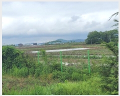  2024Ÿ��105392 �泲 �ƻ�� ���θ� â�븮 376-4      ����(��1)���