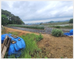  2024Ÿ��105392 �泲 �ƻ�� ���θ� â�븮 376-4      ����(��1)���