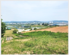  2024Ÿ��106661 �泲 õ�Ƚ� ���ϱ� ��ȯ�� ��渮 140-8     ����(������)���