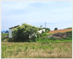  2024Ÿ��106661 �泲 õ�Ƚ� ���ϱ� ��ȯ�� ��渮 140-8     ����(������)���