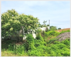  2024Ÿ��106661 �泲 õ�Ƚ� ���ϱ� ��ȯ�� ��渮 140-8     ����(������)���