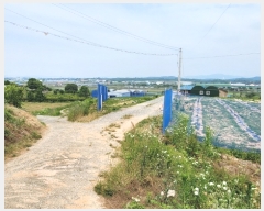  2024Ÿ��106661 �泲 õ�Ƚ� ���ϱ� ��ȯ�� ��渮 140-8     ����(������)���