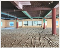  2024Ÿ112154 泲 õȽ  ȭ 137-5      ü