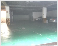  2024Ÿ112154 泲 õȽ  ȭ 137-5      ü