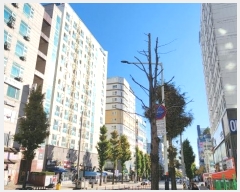  2024Ÿ��114808 �泲 õ�Ƚ� ���ϱ� ��������6�� 37, 4��429ȣ (������,��������7��)    ���ǽ��ڰ��