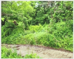  2024Ÿ��104863  �Ӿ߰��