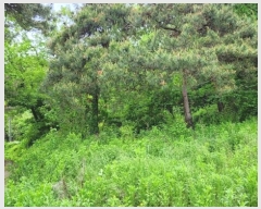  2024Ÿ��104863  �Ӿ߰��