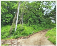  2024Ÿ��104863  �Ӿ߰��