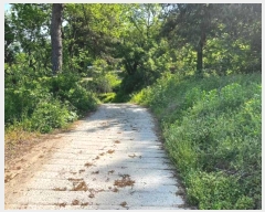  2024Ÿ��104863  �Ӿ߰��