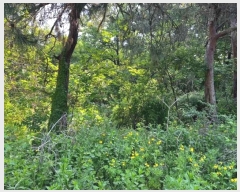  2024Ÿ��104863  �Ӿ߰��