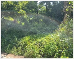  2024Ÿ��104863  �Ӿ߰��