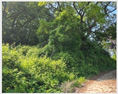  2024Ÿ��104863  �Ӿ߰��