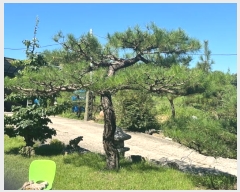  2024Ÿ��111328  ���(�󰡽ü�)���