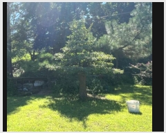  2024Ÿ��111328  ���(�󰡽ü�)���