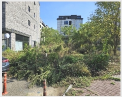  2024Ÿ��114686  �������