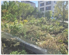  2024Ÿ��114686  �������