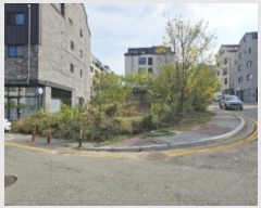  2024Ÿ��114686  �������