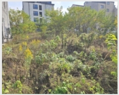  2024Ÿ��114686  �������