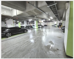  2024Ÿ115696 泲 õȽ ϱ 鼮1 10, 7713ȣ (鼮,õȹ̷̽ũƼ)    Ʈ