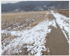  2024Ÿ��118121 �泲 �ƻ�� ����� ���︮ 31-9      ����(��)���