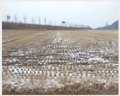  2024Ÿ��118121 �泲 �ƻ�� ����� ���︮ 31-9      ����(��)���