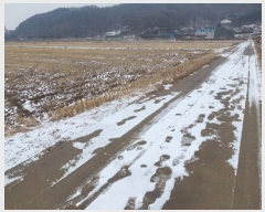  2024Ÿ��118121 �泲 �ƻ�� ����� ���︮ 31-9      ����(��)���