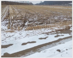  2024Ÿ��118121 �泲 �ƻ�� ����� ���︮ 31-9      ����(��)���