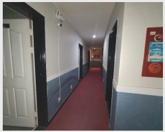  2024Ÿ398 泲 ƻ 196 6       ڽü,,ȣ,