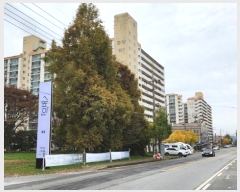  2024Ÿ3533 泲 õȽ  ϸ  1456, 104 141405ȣ (߾ӾƮ)  Ʈ