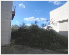  2024Ÿ��112673 �泲 õ�Ƚ� ������ ��õ�� ž���� 66-12     ������