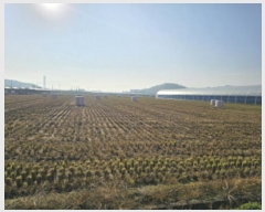  2024Ÿ��114921 �泲 õ�Ƚ� ���ϱ� ����� ������ 406-3     ����(��)���