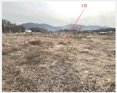  2024Ÿ115252 泲 ƻ  ̸ 18      ()