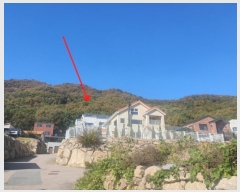  2024Ÿ��4451  �Ӿ߰��