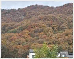  2024Ÿ��4451  �Ӿ߰��