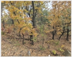  2024Ÿ��4451  �Ӿ߰��