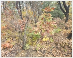  2024Ÿ��4451  �Ӿ߰��